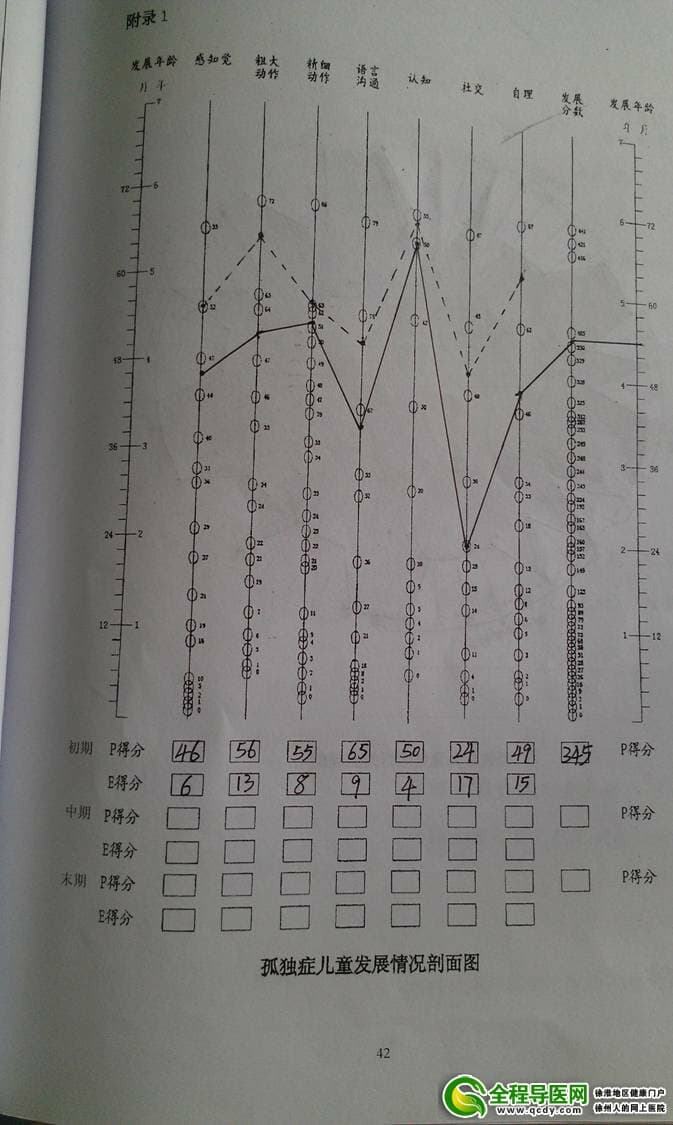 孤独症儿童发展情况剖面图2