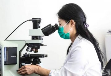 徐医附院病理科:为患者精细服务 为临床精准导航