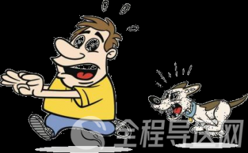 徐州疾控科普:猫狗抓伤为什么要打狂犬疫苗?